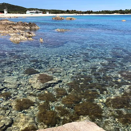 Bados Όλμπια